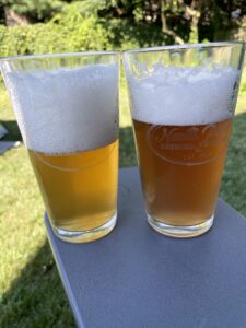 IMG_0959